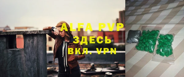 молекула духа Бородино
