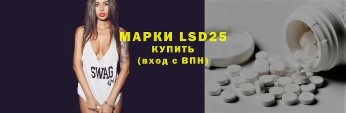 молекула духа Бородино