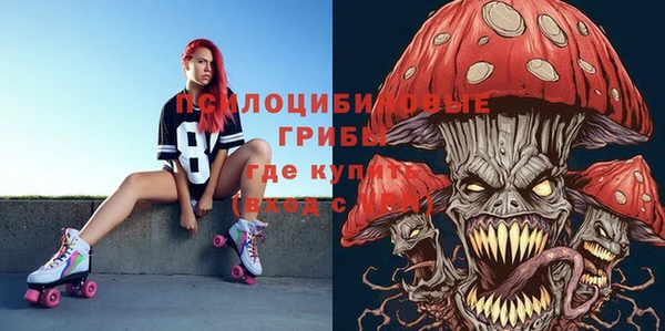 крисы Бугульма