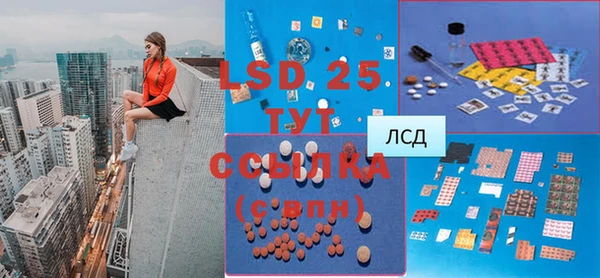 молекула духа Бородино