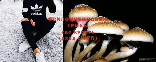 молекула духа Бородино